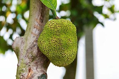 《轩辕剑3外传：天之痕》上架Steam 8月19日发售